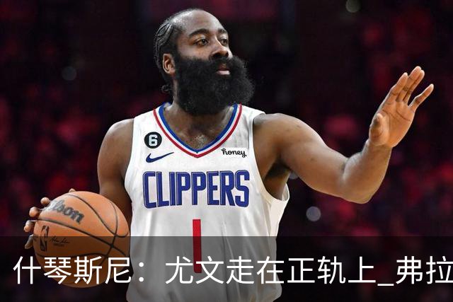 什琴斯尼：尤文走在正轨上 弗拉霍维奇非常出色